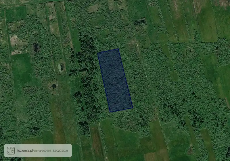 Działka na sprzedaż Szamoty