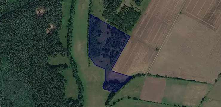 Działka na sprzedaż - POMORSKIE, człuchowski, Debrzno, Drozdowo 96/2