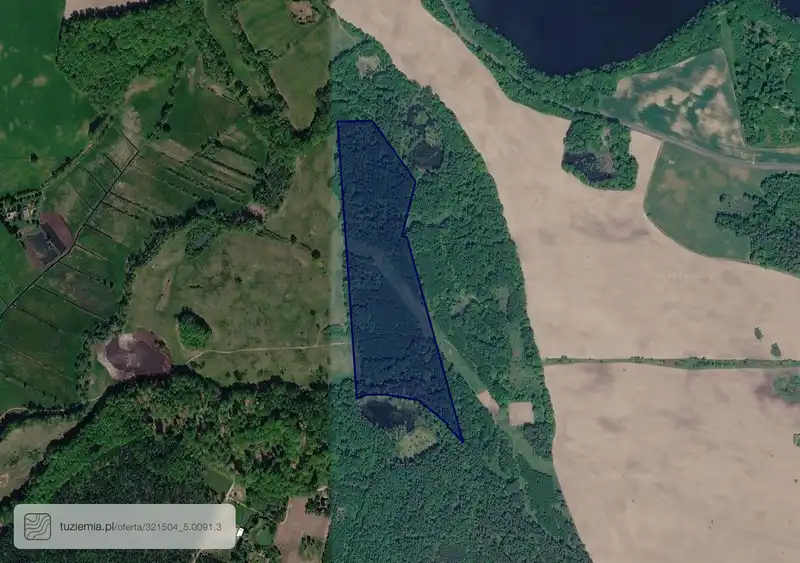 Działka na sprzedaż Dąbrowica