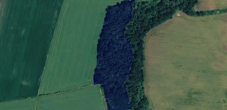 Działka na sprzedaż - DOLNOŚLĄSKIE, legnicki, Ruja, Dzierżkowice 317/2
