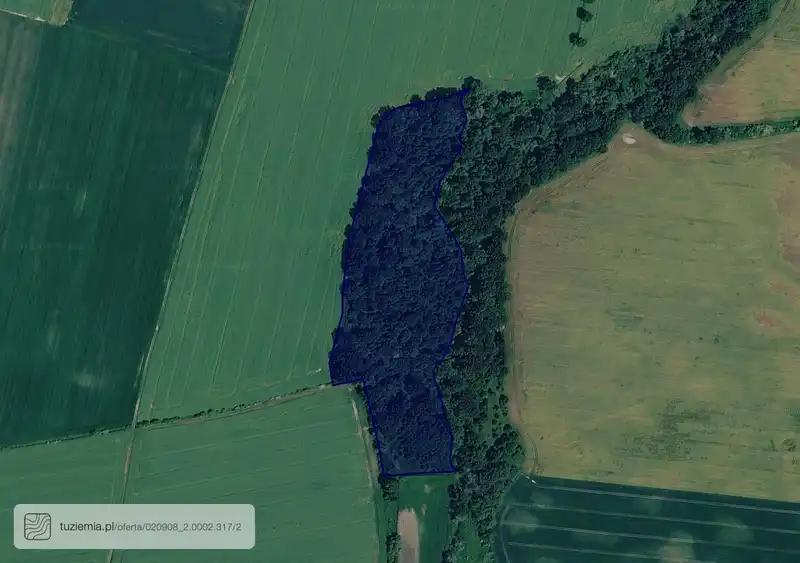 Działka na sprzedaż Dzierżkowice