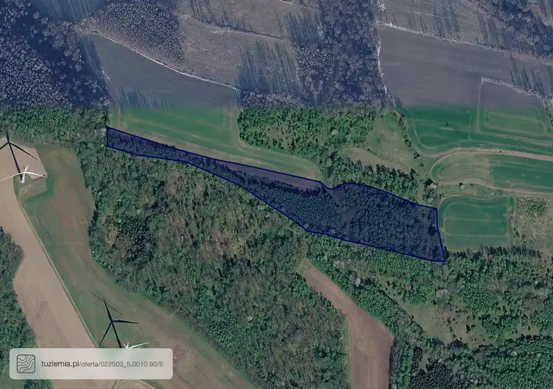 Działka na sprzedaż Opolno-Zdrój
