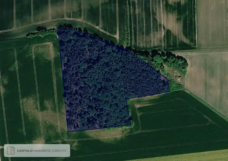 Działka na sprzedaż Osiecko
