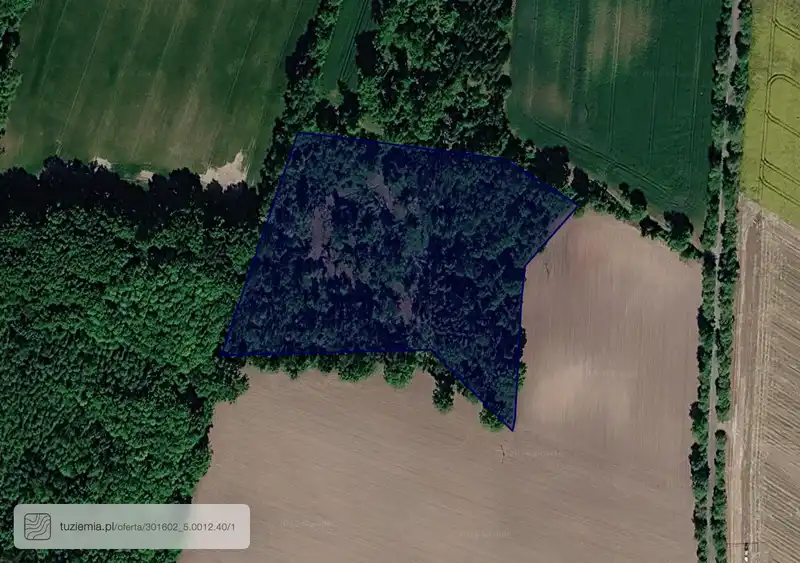 Działka na sprzedaż Owieczki