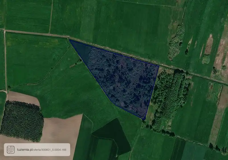 Działka na sprzedaż Gola