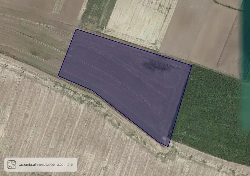 Działka na sprzedaż Piotrówek