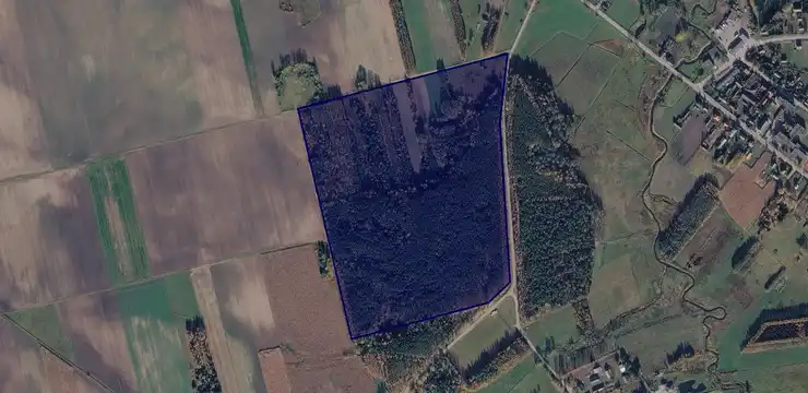 Działka na sprzedaż - PODLASKIE, bielski, Orla, Spiczki 619