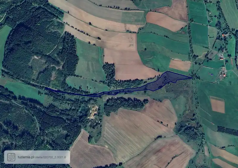 Działka na sprzedaż Olszyny