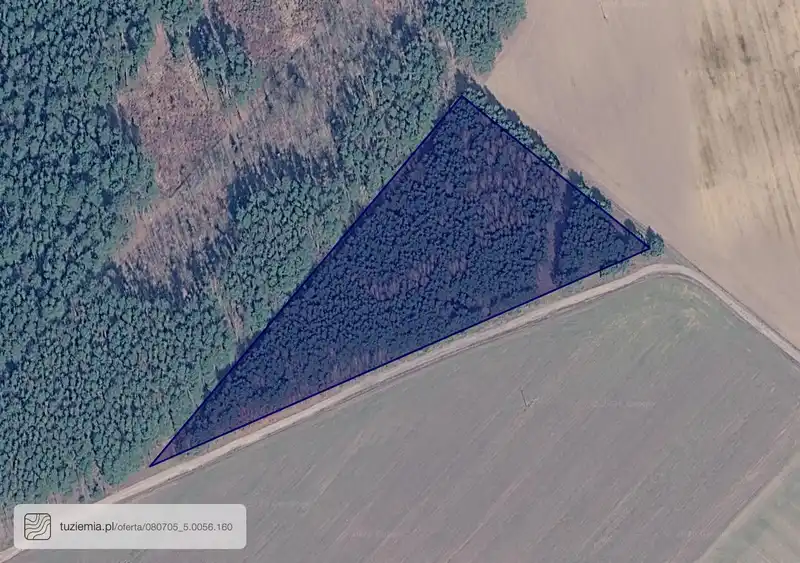 Działka na sprzedaż Bielice