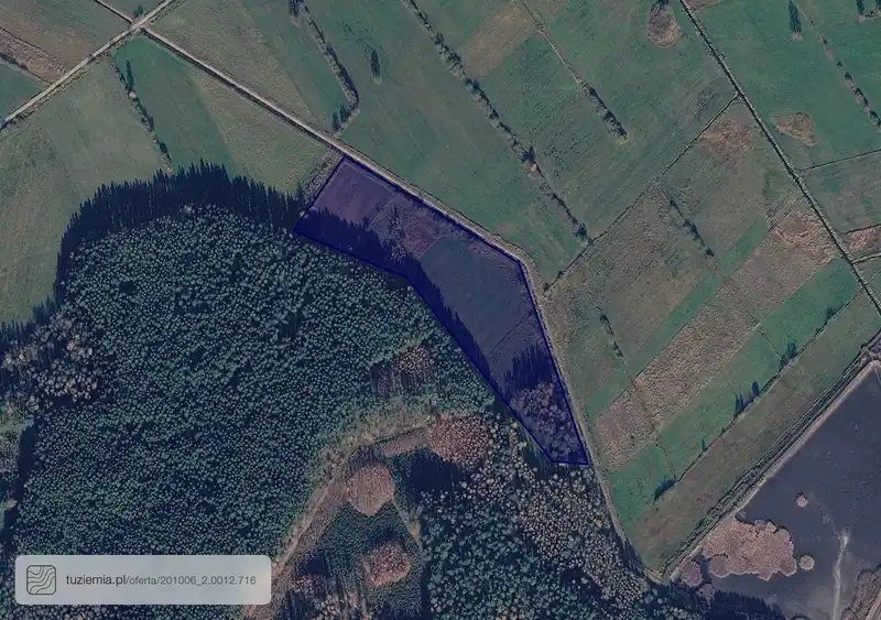 Działka na sprzedaż Pokaniewo