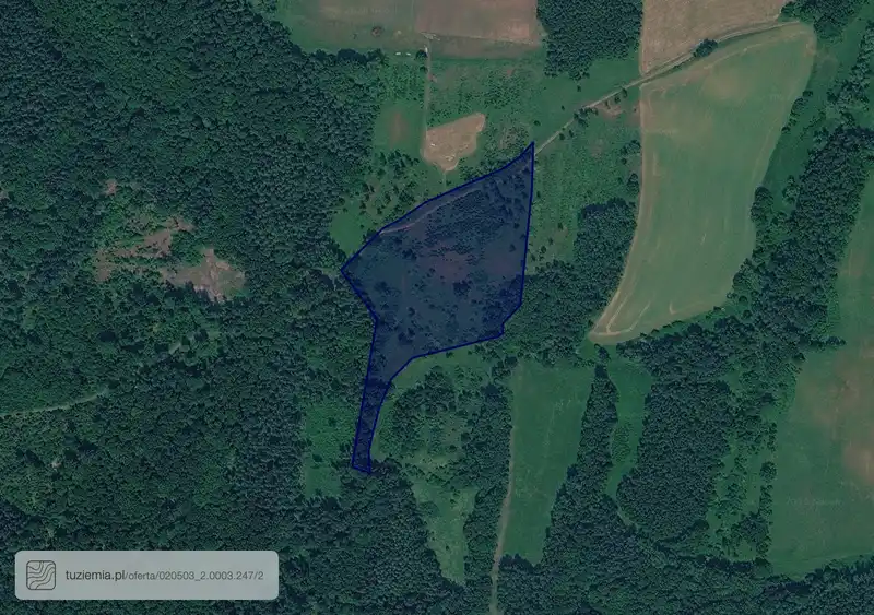 Działka na sprzedaż Kondratów