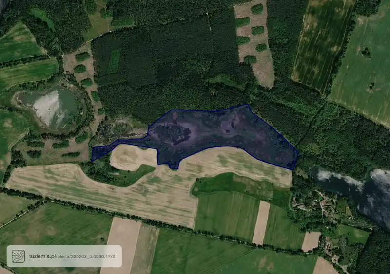 Działka na sprzedaż Golcza