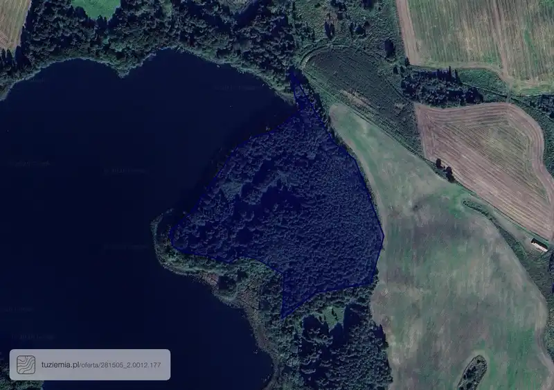 Działka na sprzedaż Surzyki Wielkie