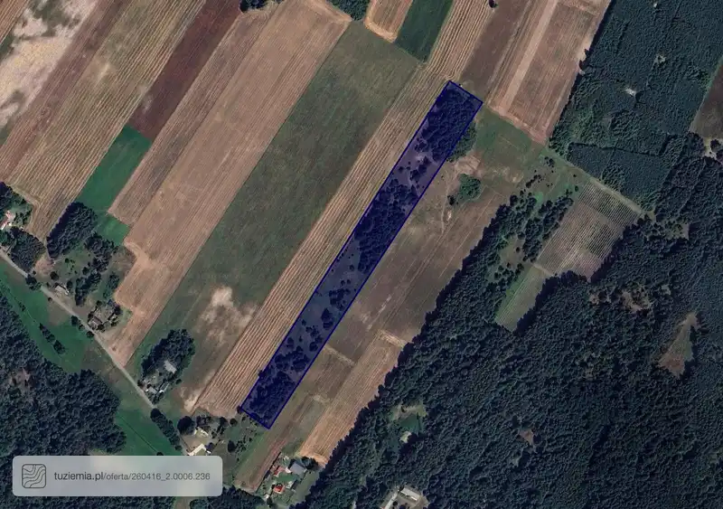 Działka na sprzedaż Głuchów Lasy