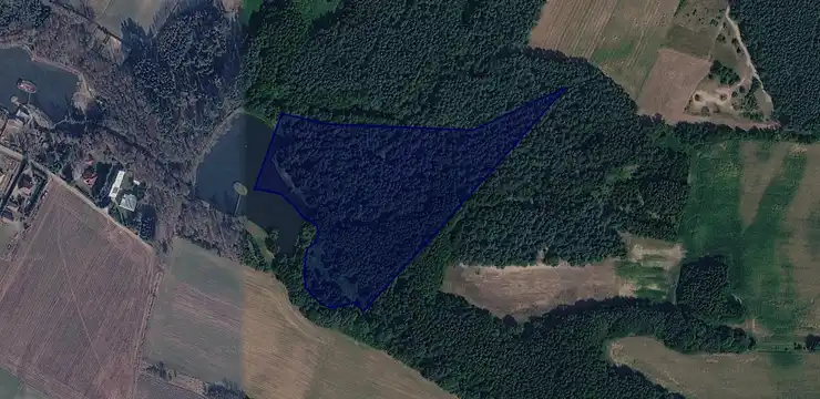 Działka na sprzedaż - WIELKOPOLSKIE, ostrzeszowski, Ostrzeszów, Olszyna 168/1