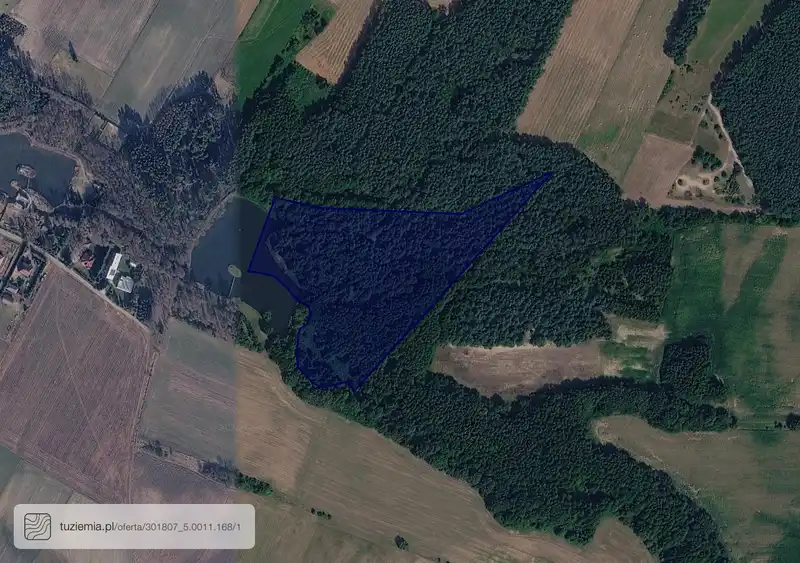 Działka na sprzedaż Olszyna