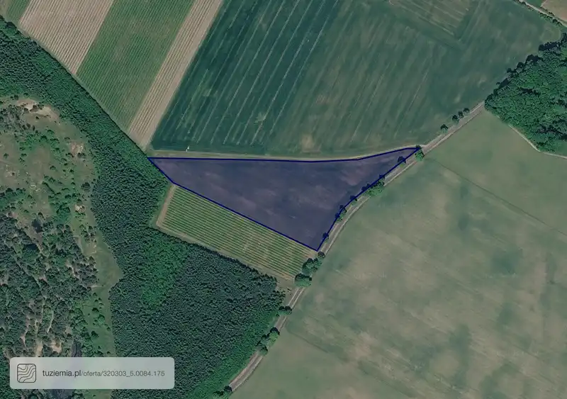 Działka na sprzedaż Dębsko