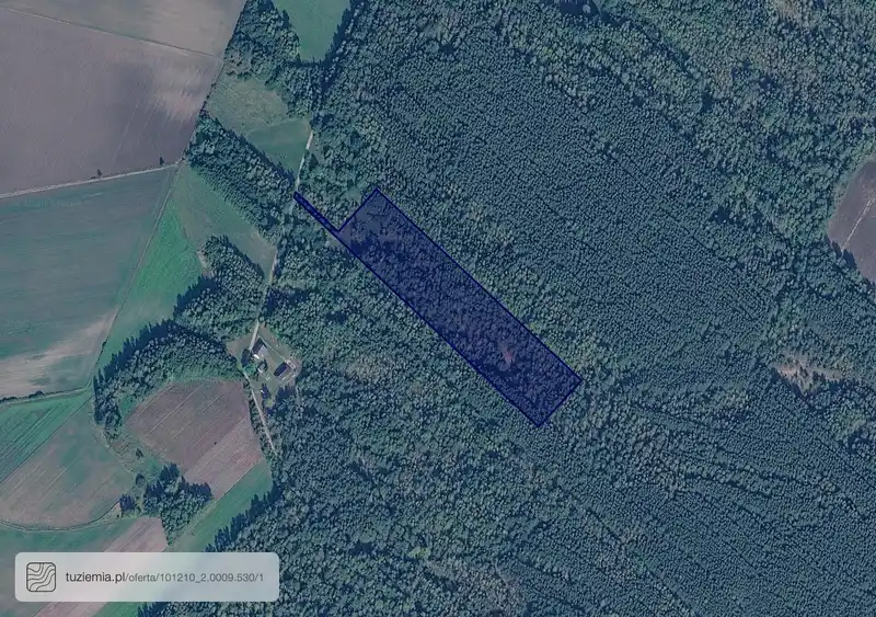 Działka na sprzedaż Kolonia Przerąb