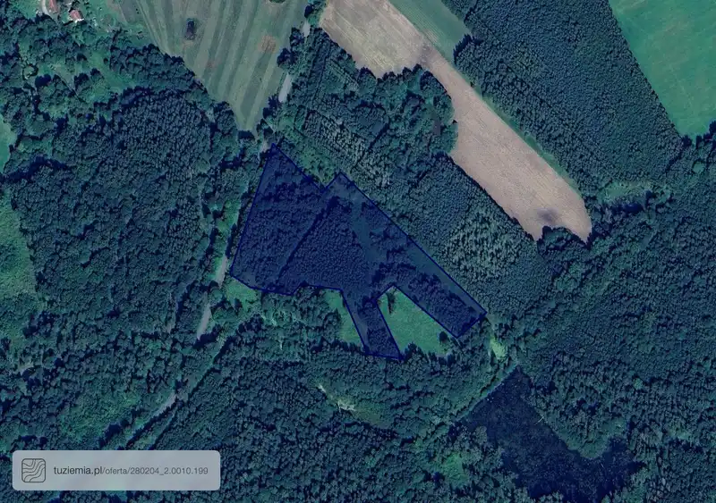 Działka na sprzedaż Wilknity