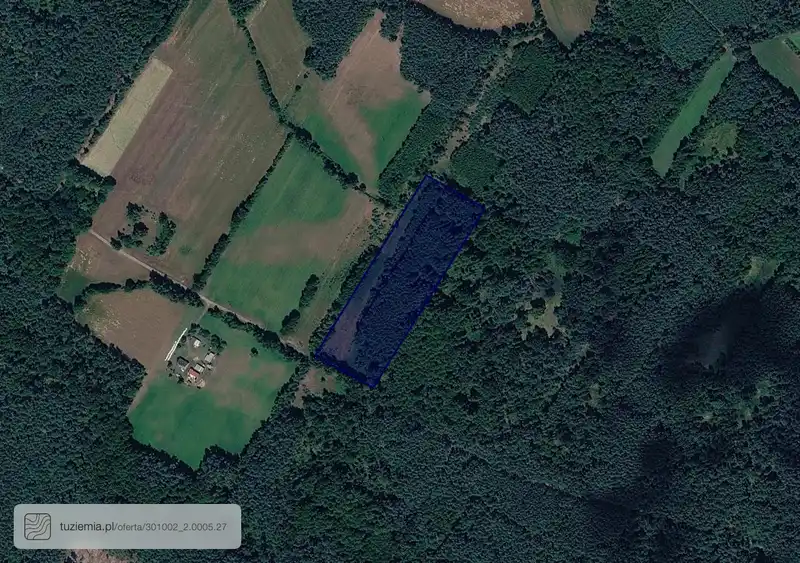 Działka na sprzedaż Borowiec Nowy