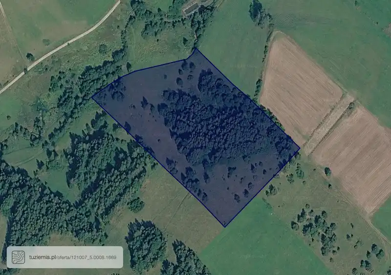 Działka na sprzedaż Tylicz