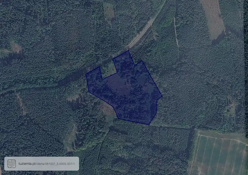 Działka na sprzedaż Borowina