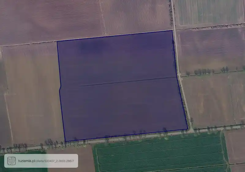 Działka na sprzedaż Krzywe Koło