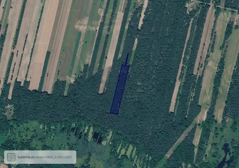 Działka na sprzedaż Andrzejów