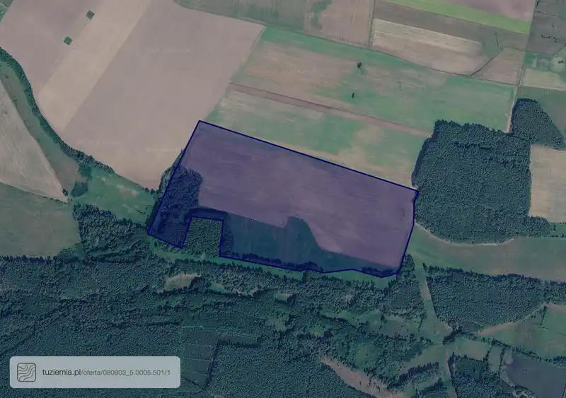 Działka na sprzedaż Leśniów Wielki