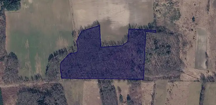 Działka na sprzedaż - LUBUSKIE, Zielona Góra, 47 331/2