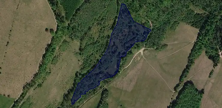 Działka na sprzedaż - DOLNOŚLĄSKIE, kłodzki, Lądek-Zdrój, Trzebieszowice 121/1