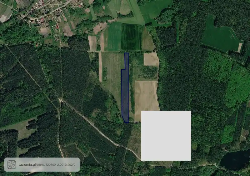 Działka na sprzedaż Rynica