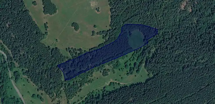 Działka na sprzedaż - DOLNOŚLĄSKIE, kłodzki, Bystrzyca Kłodzka, Poręba Lasy 66