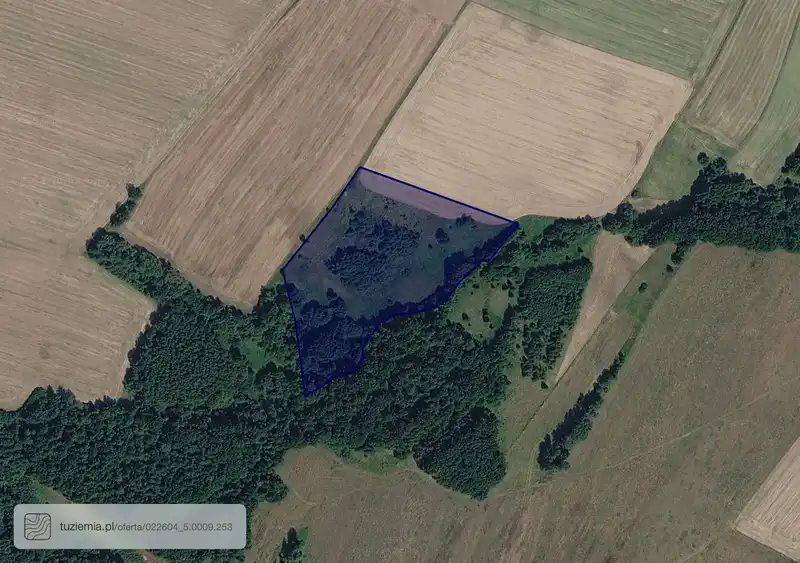 Działka na sprzedaż Sędziszowa