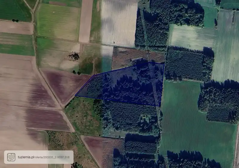Działka na sprzedaż Wojszki