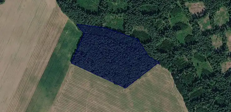 Działka na sprzedaż - WIELKOPOLSKIE, międzychodzki, Chrzypsko Wielkie, Łężce 187/3
