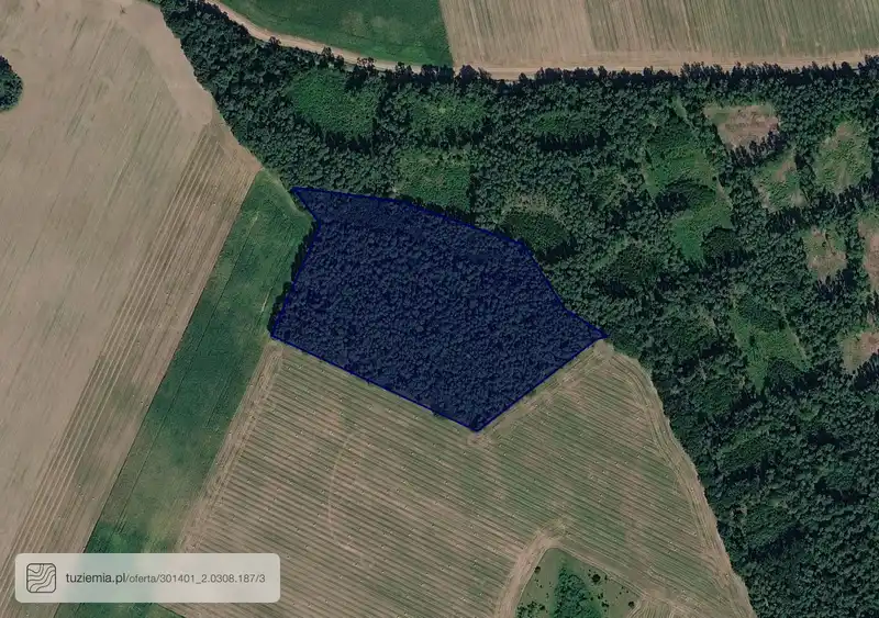 Działka na sprzedaż Łężce