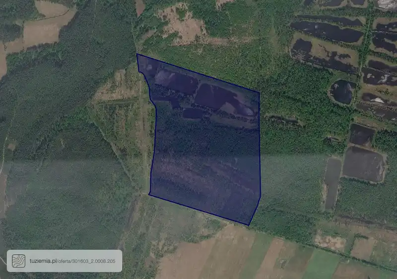 Działka na sprzedaż Ludomicko