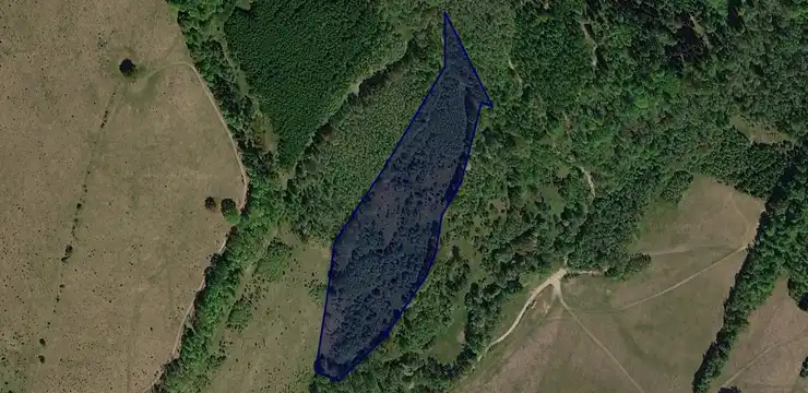 Działka na sprzedaż - DOLNOŚLĄSKIE, kłodzki, Lądek-Zdrój, Trzebieszowice 119