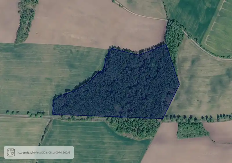 Działka na sprzedaż Skic