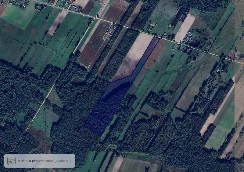 Działka na sprzedaż Pokaniewo Kolonia