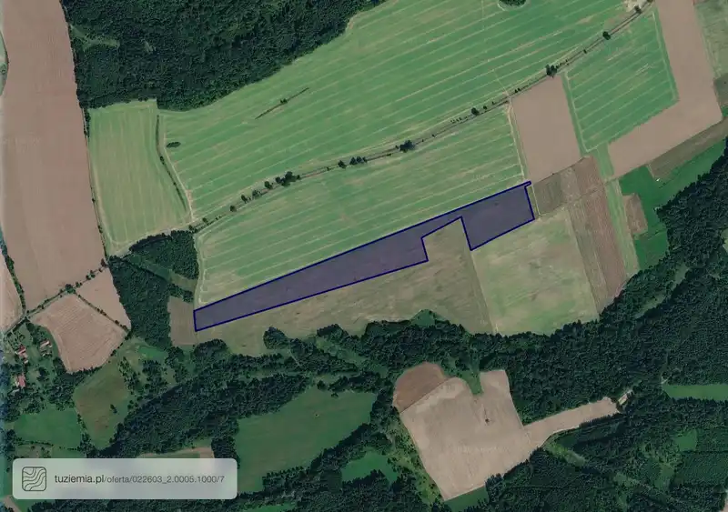 Działka na sprzedaż Proboszczów