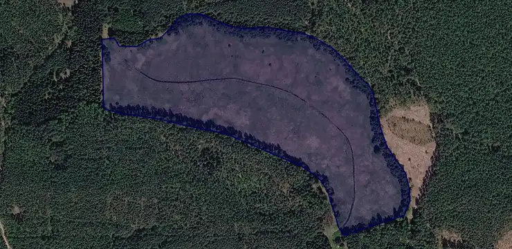 Działka na sprzedaż - LUBUSKIE, międzyrzecki, Bledzew, 978/4