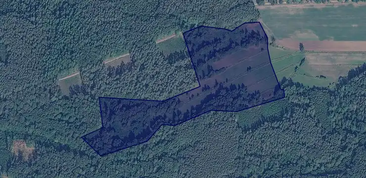 Działka na sprzedaż - WIELKOPOLSKIE, kępiński, Trzcinica, Laski 1124
