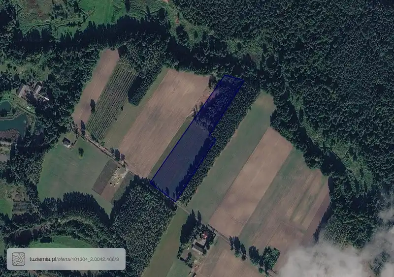 Działka na sprzedaż Wołucza