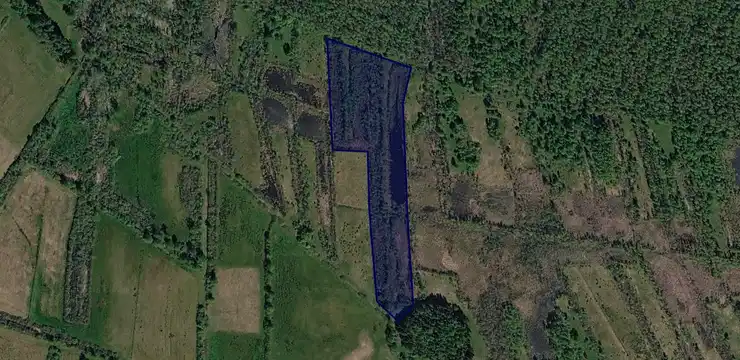 Działka na sprzedaż - WARMIŃSKO-MAZURSKIE, działdowski, Rybno, Koszelewki 93