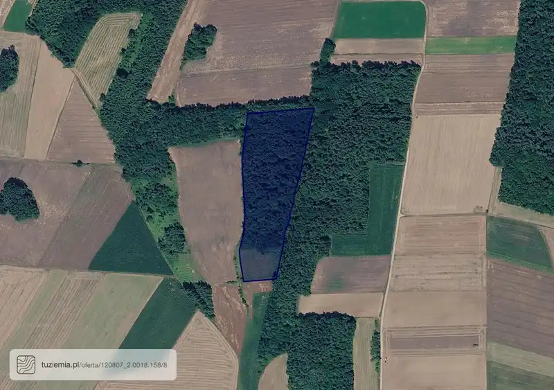 Działka na sprzedaż Święcice