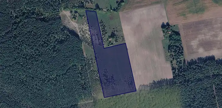 Działka na sprzedaż - WIELKOPOLSKIE, kaliski, Ceków-Kolonia, Prażuchy Stare 247/1