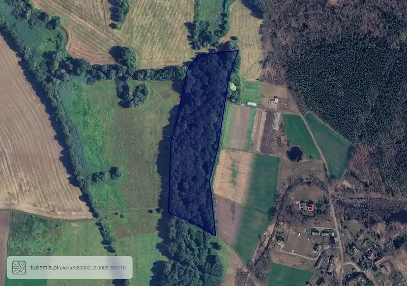 Działka na sprzedaż Borek-Zabornia