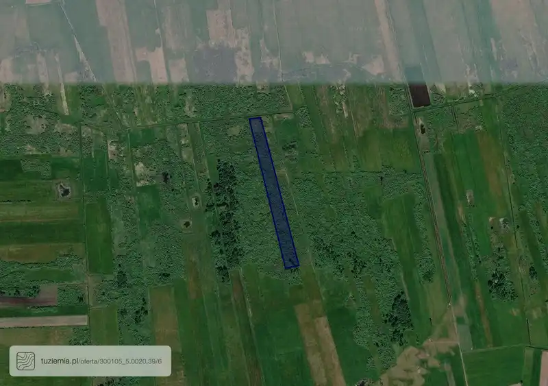 Działka na sprzedaż Szamoty